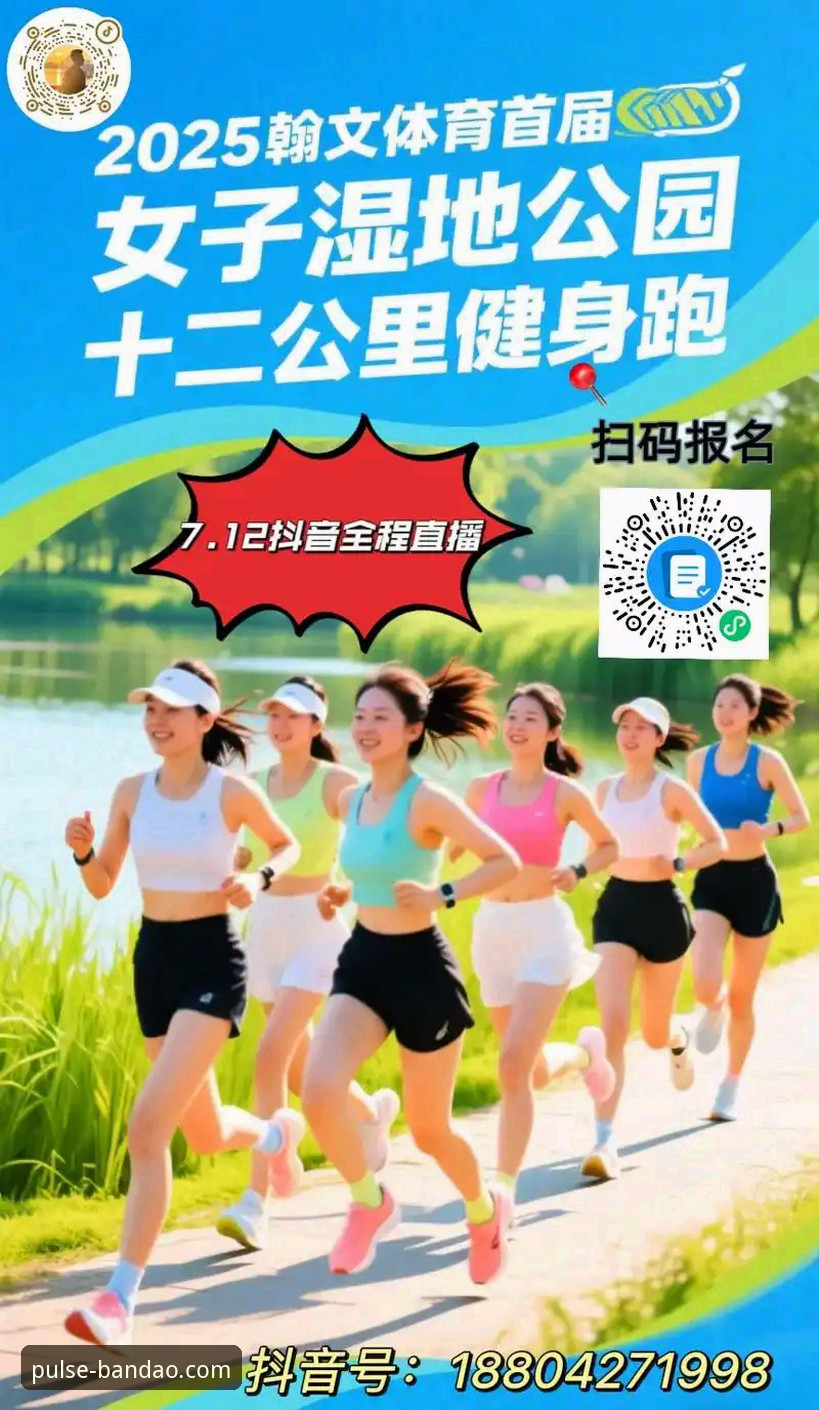半岛体育平台实用指南：2025新版功能详解与高效使用技巧