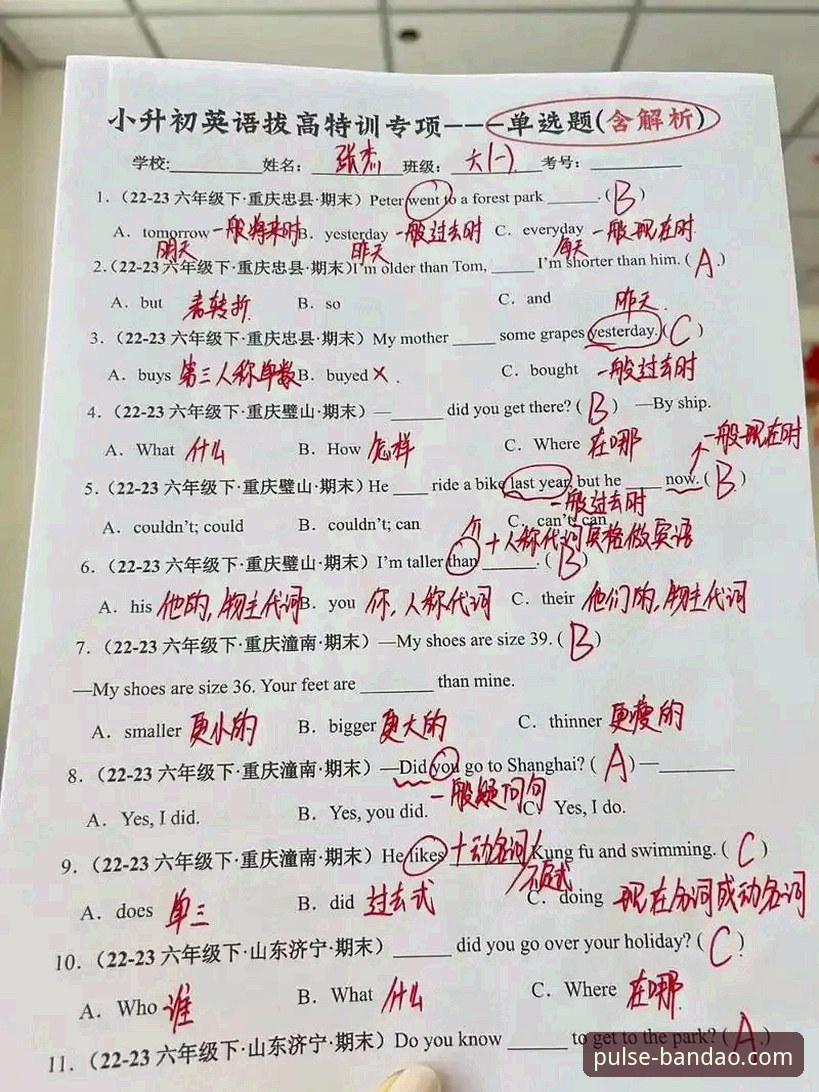 半岛体育手机版对比 半岛体育平台实用指南:手机版功能对比与使用技巧