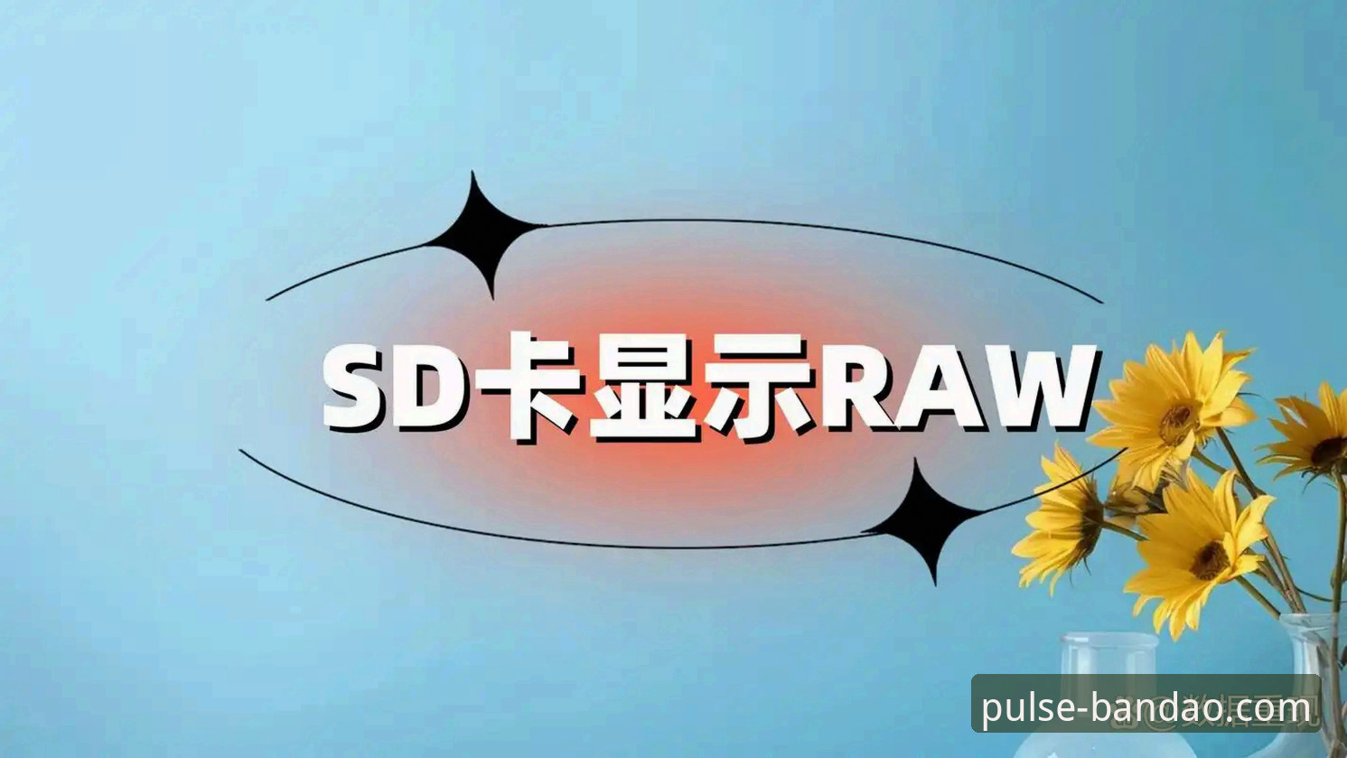 半岛体育平台安全使用指南：从版本验证到数据防护的完整攻略