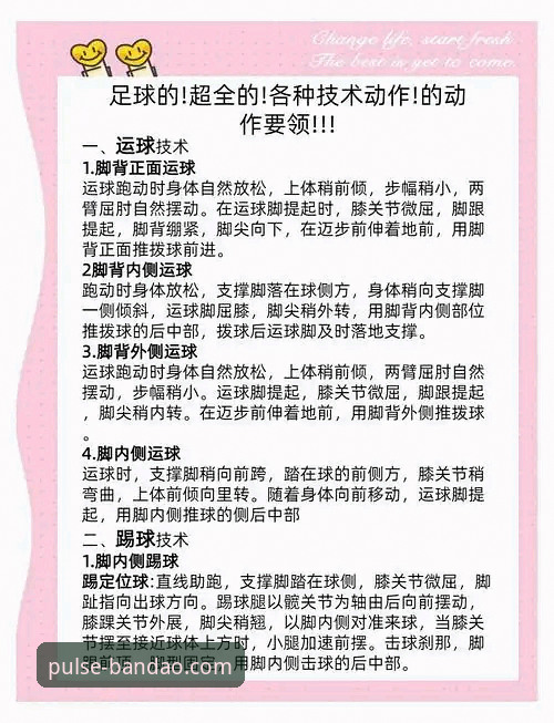 半岛体育平台使用教程全解析：从新手到高手的进阶指南